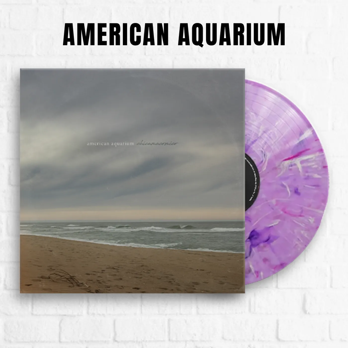 American Aquarium Chicamacomico [Exclusive Lavender Marble]