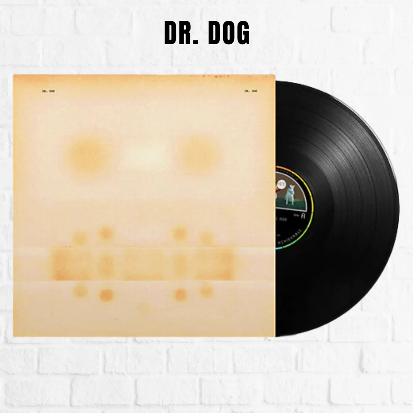 Dr. Dog