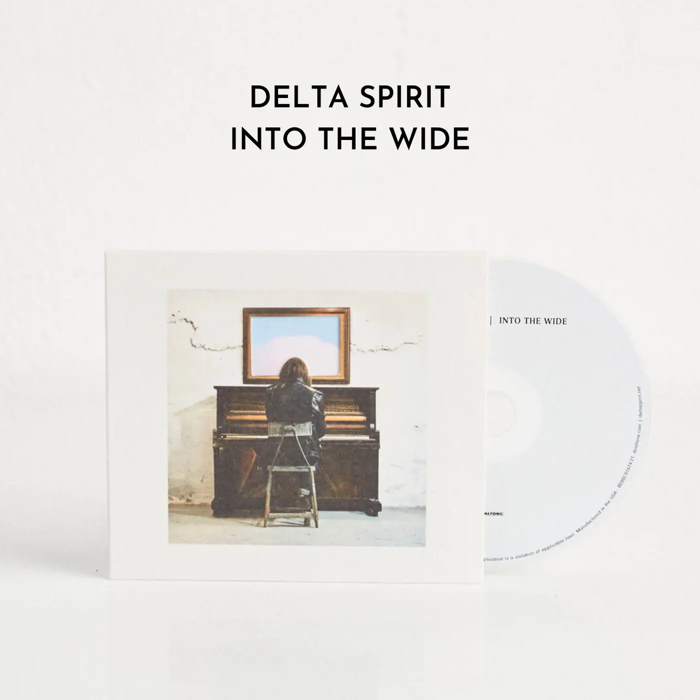 Delta Spirit Into The Wide (CD)