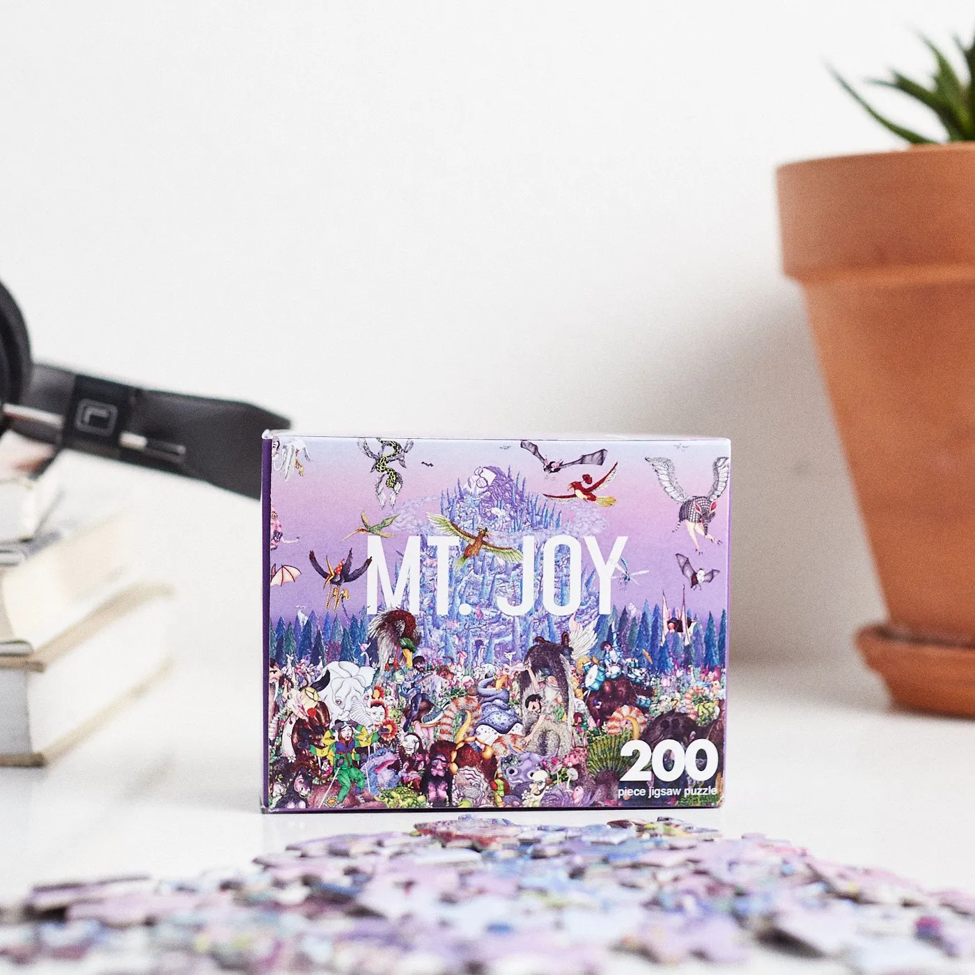 Mt. Joy Rearrange Us (Puzzle)