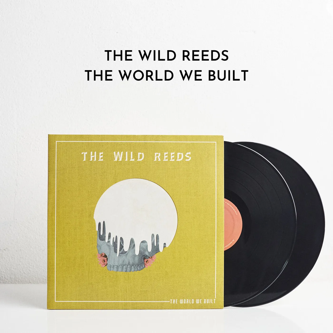 The Wild Reeds The World We Built (LP) (Vinyl)