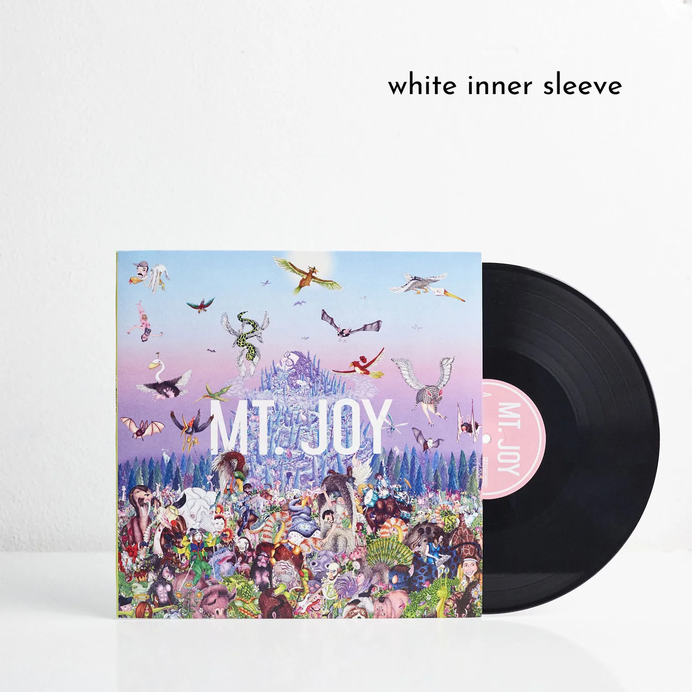 Mt. Joy Rearrange Us (Vinyl) - Blank Inner Sleeve